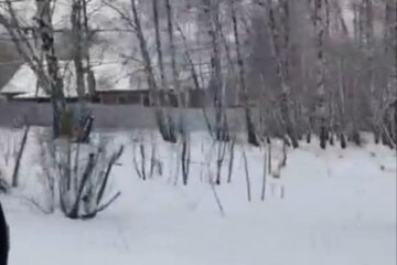 ИЖС, 11,7 сот.